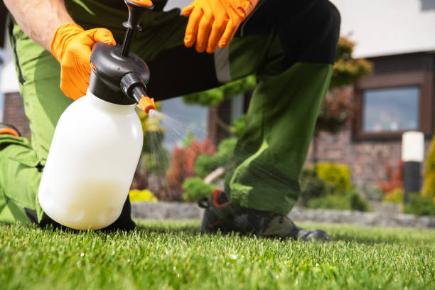 Best Flea Control Services  in New Haven, MI