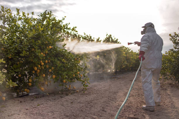 Best Pest Control Treatment  in New Haven, MI