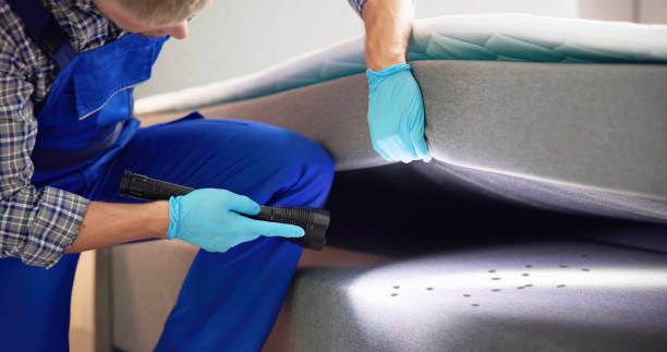 Trusted New Haven, MI Pest Control Experts