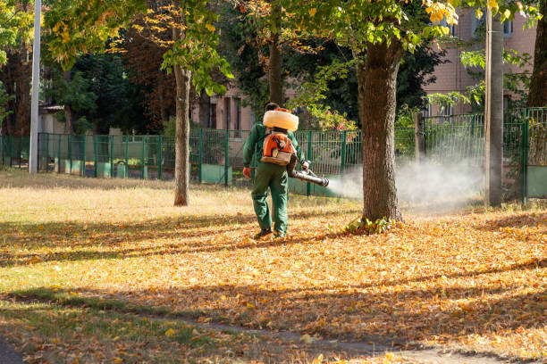 Best Wasp Removal Services  in New Haven, MI