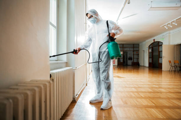 Best Residential Pest Control  in New Haven, MI